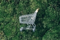 Czy e-commerce może być EKO?