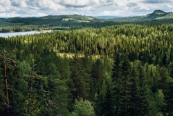 Metsä Board czwarty rok z rzędu na Liście A CDP
