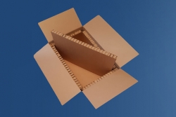 Thermo Box - innowacyjne opakowanie z papieru do mrożonek