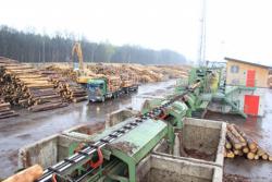 stora enso wood products - tartak w Murowie