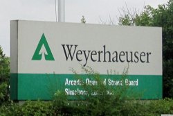 International Paper przejmuje Weyerhaeuser