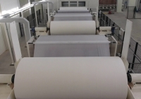 Litewska grupa AB Grigeo przejęła fabrykę papieru celulozowego i artykułów higienicznych w Niedomicach