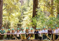 HP i World Wildlife Fund razem dla lasów