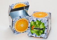 opakowanie chłodzące icebox - Mondi