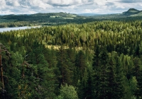 Metsä Board czwarty rok z rzędu na Liście A CDP