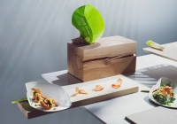 Zrównoważone tektury Metsä Board na targach Packaging Innovations 2020