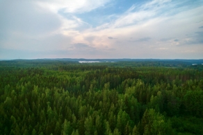 Metsä Board aktualizuje swoje strategiczne cele dotyczące zrównoważonego rozwoju na rok 2030