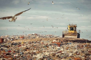 Proponowane zasady obowiązkowego ponownego użycia zagrażają najlepszemu na świecie systemowi recyklingu